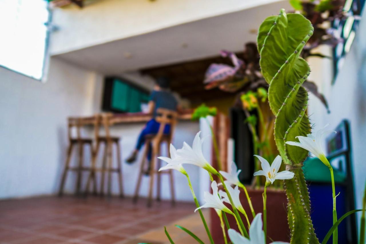 Aluna Hostel B&B Santa Marta  Exterior photo